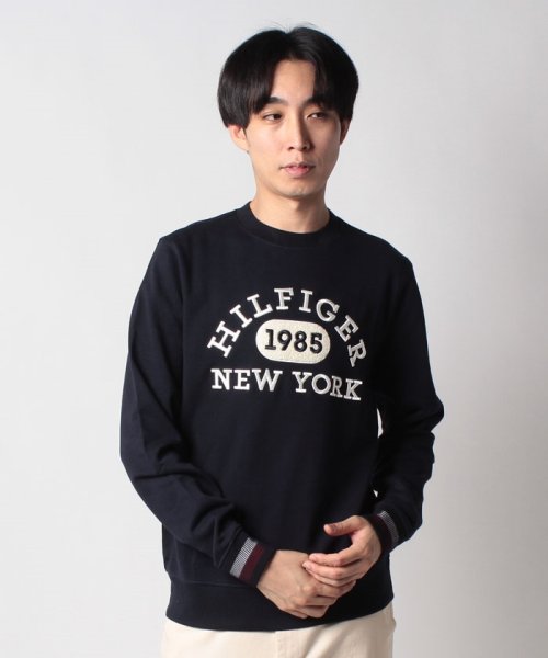 TOMMY HILFIGER(トミーヒルフィガー)/【オンライン限定】エンブロイダリーカレッジロゴスウェット/img11