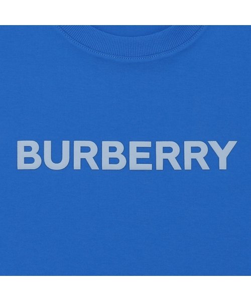 BURBERRY(バーバリー)/バーバリー Tシャツ ブルー メンズ BURBERRY 8065395 B5170/img06