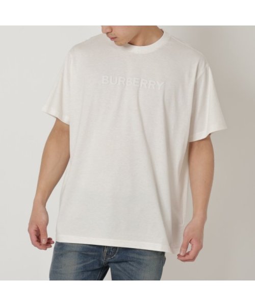 BURBERRY(バーバリー)/バーバリー Tシャツ ベージュ メンズ BURBERRY 8068709 A4187/img01