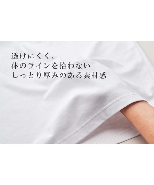 SASTY(サスティ)/サスティ Tシャツ メンズ シーアイランドコットン SASTY 291233/img12