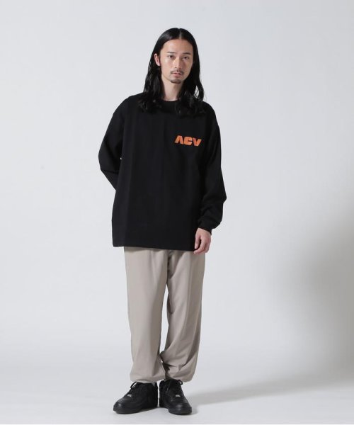 BEAVER(ビーバー)/Acy/エーシー　TUBE L/S TEE/img03