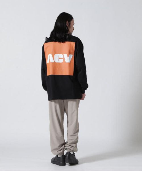 BEAVER(ビーバー)/Acy/エーシー　TUBE L/S TEE/img04