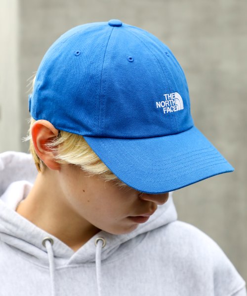 THE NORTH FACE(ザノースフェイス)/◎日本未入荷◎【THE NORTH FACE / ザ・ノースフェイス】COTTON BALL CAP / ベースボール キャップ NE3CP03/img05