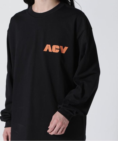 BEAVER(ビーバー)/Acy/エーシー　TUBE L/S TEE/img08