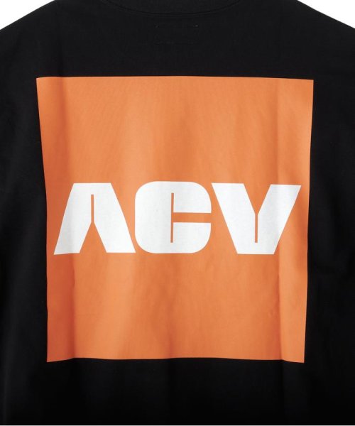 BEAVER(ビーバー)/Acy/エーシー　TUBE L/S TEE/img12