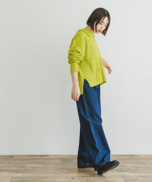 ITEMS URBANRESEARCH(アイテムズ アーバンリサーチ（レディース）)/スキッパーニットプルオーバー/img14