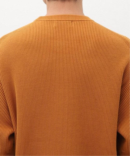 J.S Homestead(ジャーナルスタンダード　ホームステッド)/【J.S.Homestead】TWSIT RIB COTTON CREW KNIT/img09