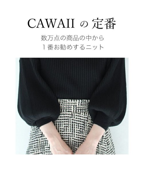CAWAII(カワイイ)/袖ポワンとオフネックのニットトップス/img16