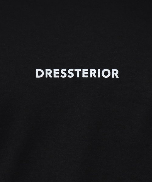 DRESSTERIOR(ドレステリア)/トルコオーガニック ハイスペック ロングTシャツ/img22