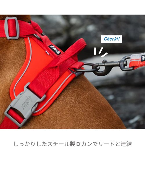 Hurtta(フルッタ)/フルッタ Hurtta 犬 ハーネス Y型 ウォーリアハーネス ベルト 小型犬 中型犬 胴輪 歩行補助 [予約 10月上旬 入荷予定]/img05