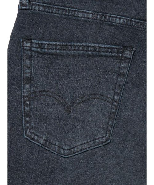 Levi's(リーバイス)/FLEX JEANS 511（TM） スリムフィット ブラック RICHMOND/img13