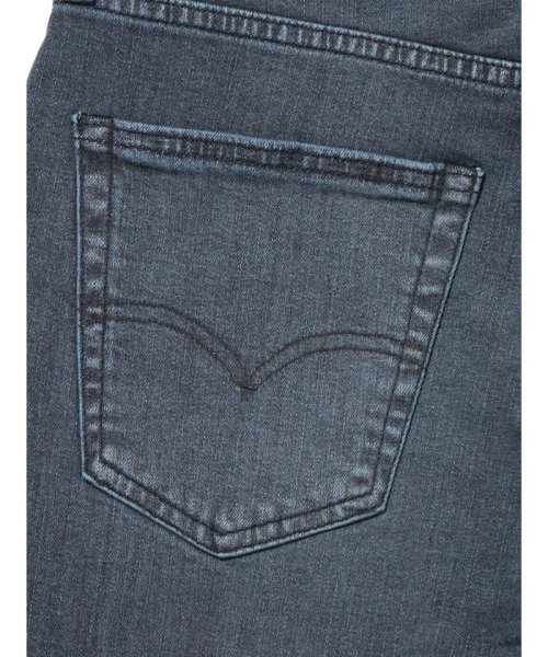 Levi's(リーバイス)/Flex Jeans 502（TM） テーパードジーンズ ブラック RICHMOND BLUE/img13