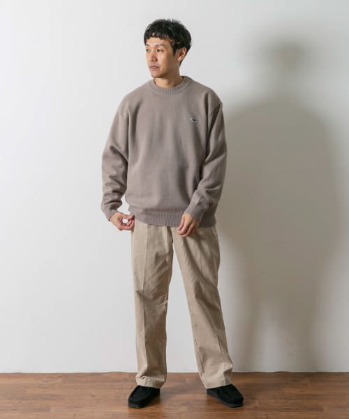 URBAN RESEARCH DOORS(アーバンリサーチドアーズ)/『別注』『ユニセックス』PENNEYS×DOORS　THE FOX クルーネックスフレニット/img38