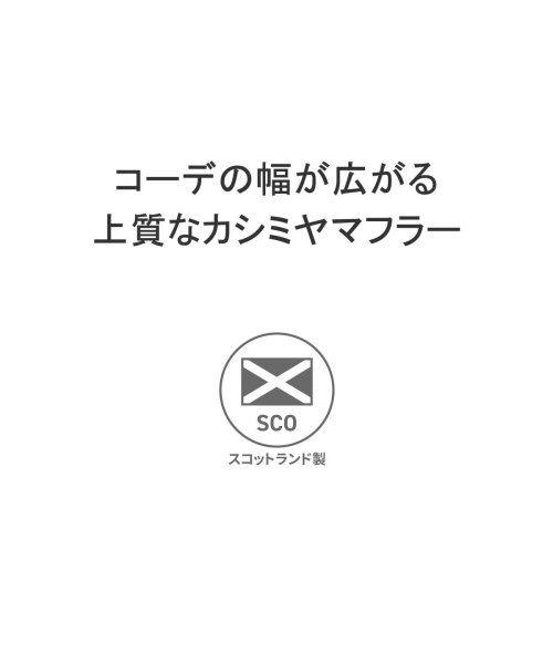 Johnstons of Elgin(ジョンストンズ オブ エルガン)/【日本正規品】 ジョンストンズ オブ エルガン マフラー メンズ レディース チェック Johnstons of Elgin ストール WA000057/img03