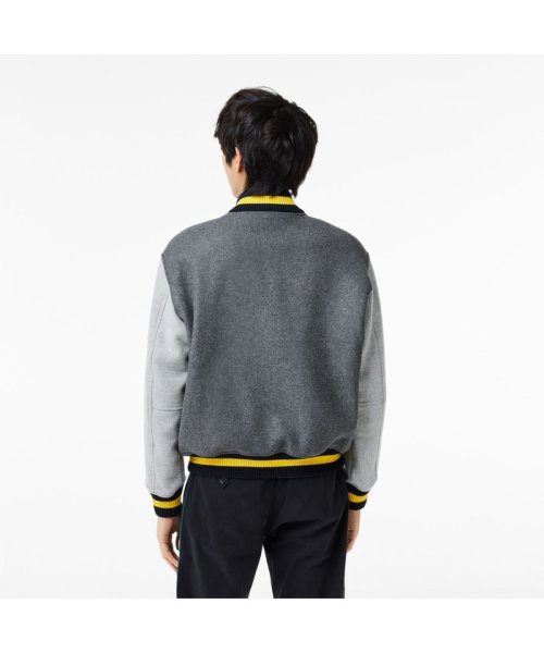 LACOSTE Mens(ラコステ　メンズ)/ベーシックバーシティジャケット/img02