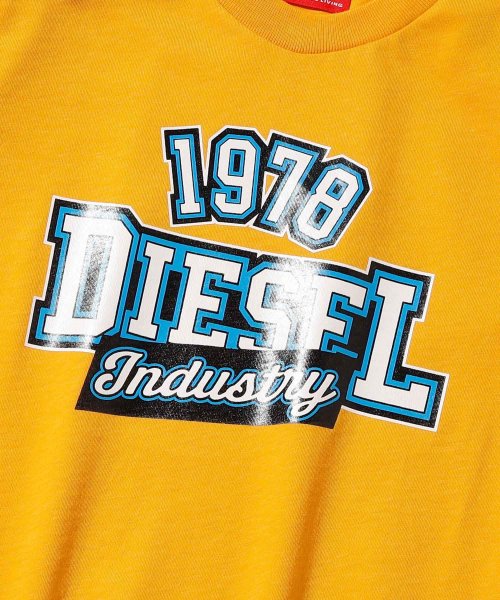 DIESEL(DIESEL)/DIESEL(ディーゼル)Kids & Junior ブランドロゴ半袖Tシャツカットソー/img06