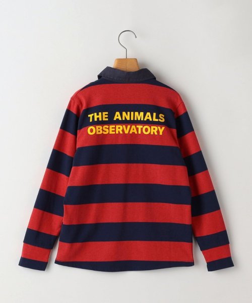 SHIPS KIDS(シップスキッズ)/The Animals Observatory:110～140cm / T－Shirt/img01