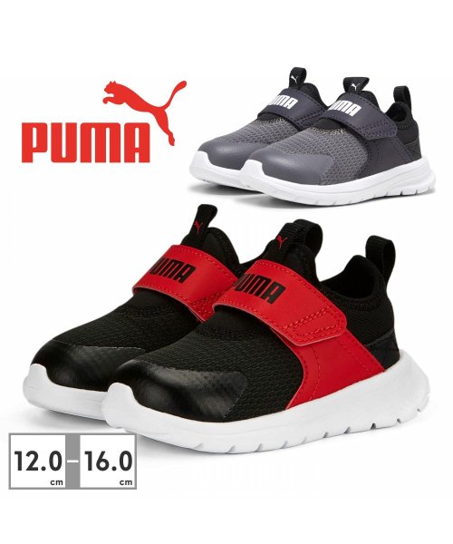 PUMA(PUMA)/プーマ PUMA キッズ 389136 エボルブ 02 06/img01