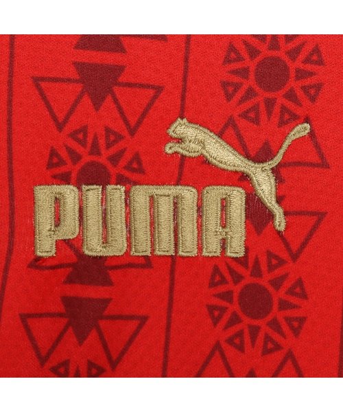 PUMA(プーマ)/メンズ サッカー エジプト FTBLCULTURE Tシャツ/img02