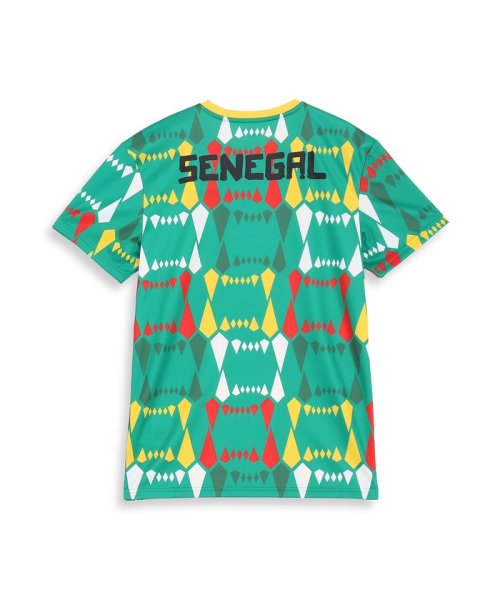 PUMA(PUMA)/メンズ サッカー セネガル FTBLCULTURE Tシャツ/img01
