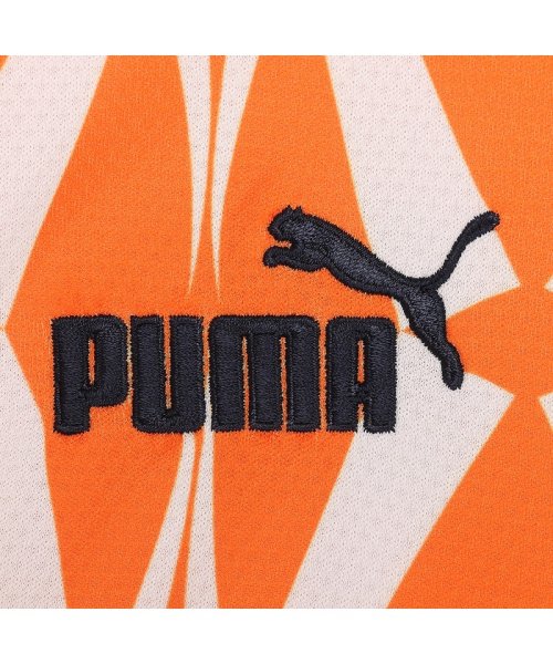 PUMA(PUMA)/メンズ サッカー コートジボワール FTBLCULTURE Tシャツ/img02