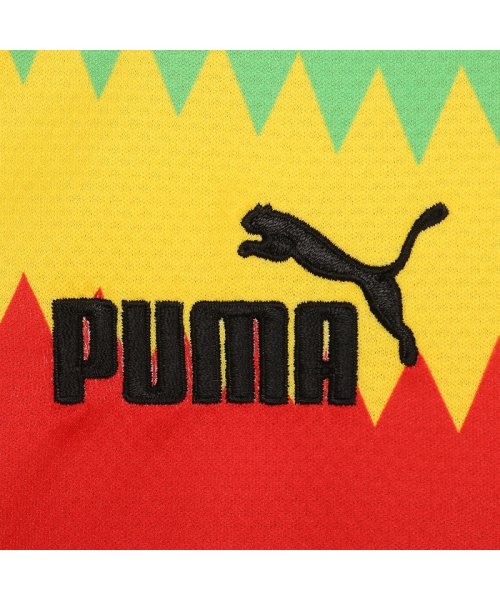 PUMA(PUMA)/メンズ サッカー ガーナ FTBLCULTURE Tシャツ/img02