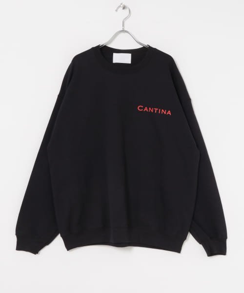 URBAN RESEARCH(アーバンリサーチ)/URBAN RESEARCH iD　CANTINA Sweat Crew Neck/img11