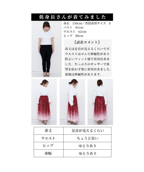Sawa a la mode(サワアラモード)/美しいグラデーションの美麗レーススカート/img32