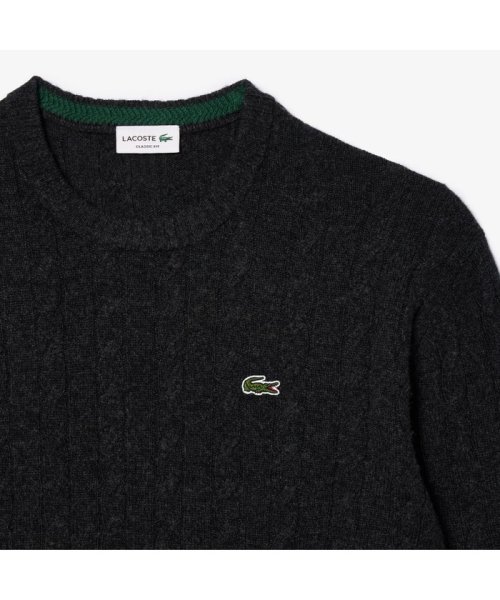 LACOSTE Mens(ラコステ　メンズ)/レスポンシブルウールケーブルニットセーター/img11