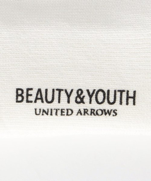 BEAUTY&YOUTH UNITED ARROWS(ビューティーアンドユース　ユナイテッドアローズ)/2ライン パイル クルー ソックス/img02