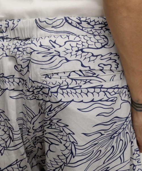 Schott(ショット)/HAWAIIAN SHORTS "DRAGON"/ハワイアンショーツ "ドラゴン/img05