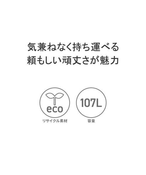 日本正規品 ザ・ノース・フェイス コンテナ 大型 THE NORTH FACE ソフトコンテナ 折りたたみ キャンプ アウトドア 107L NM82373 LONGCHAMP ロンシャン ボストンバッグ 1911 919 001 Q1653962471(12650円)