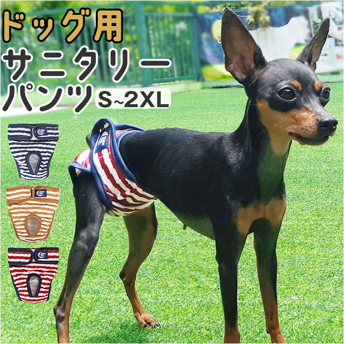 マナーパンツ 犬 ペット サニタリーパンツ lspt0266(505765728