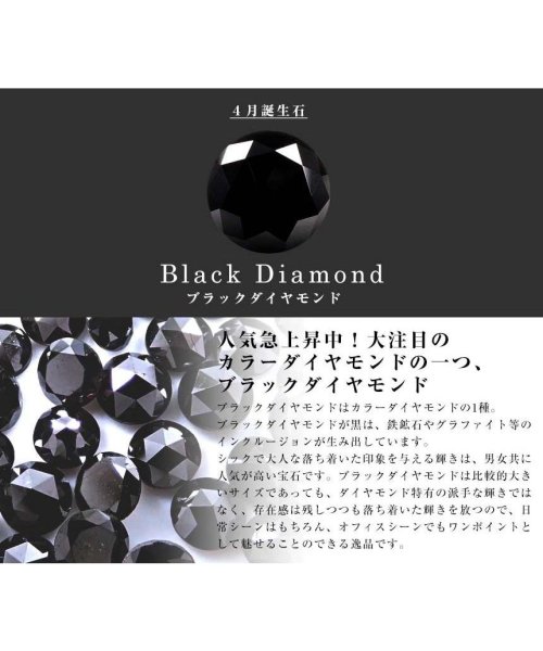 LARA Christie(ララクリスティー)/ララクリスティー ピアス レディース ブラックダイヤモンド 1粒 計0.2ct プラチナ K18/img06