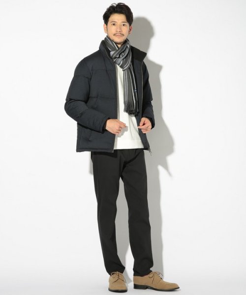 T/Rバーズアイスタンドカラーエコダウンブルゾン 