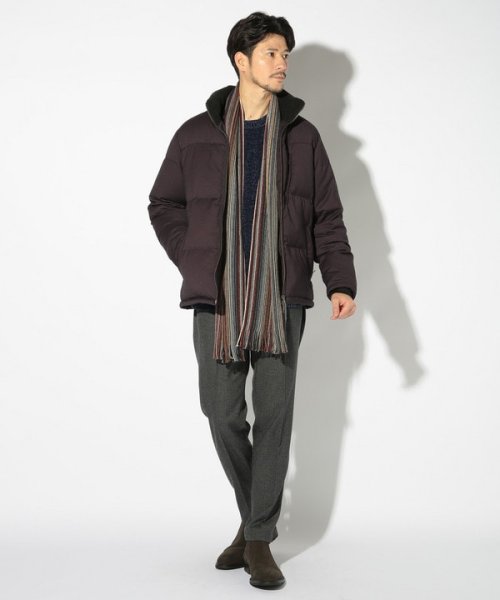 T/Rバーズアイスタンドカラーエコダウンブルゾン 
