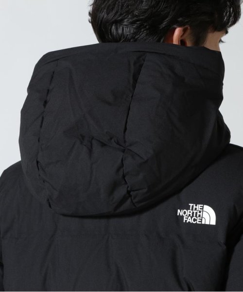 BEAVER(ビーバー)/THE NORTH FACE/ザ・ノースフェイス  Belayer Parka/img08