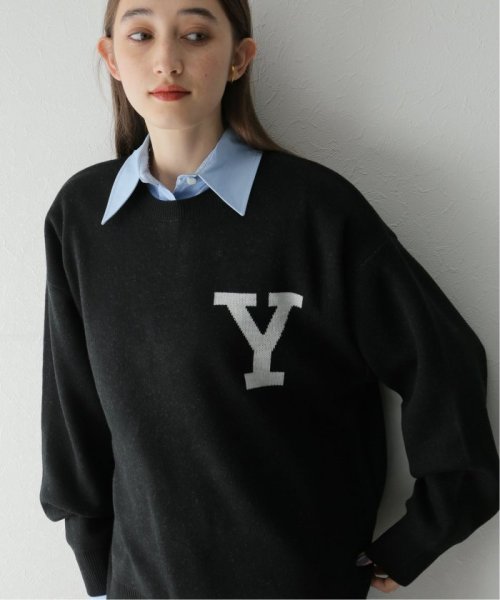 JOURNAL STANDARD(ジャーナルスタンダード)/【YALE for JOURNAL STANDARD】別注 クルーネックニット/img33