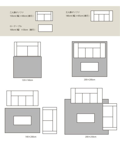 ACME Furniture(アクメファニチャー)/VINE YARD RUG 120x160 バインヤード ラグ/img13