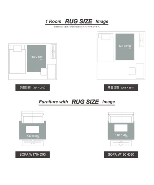 ACME Furniture(アクメファニチャー)/MONTECITO RUG 120x160 モンテシート ラグ/img30