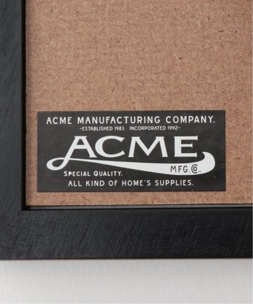 ACME Furniture(アクメファニチャー)/WARNER PHOTO FRAME_L/2L ワーナーフォトフレーム L/2L/img11