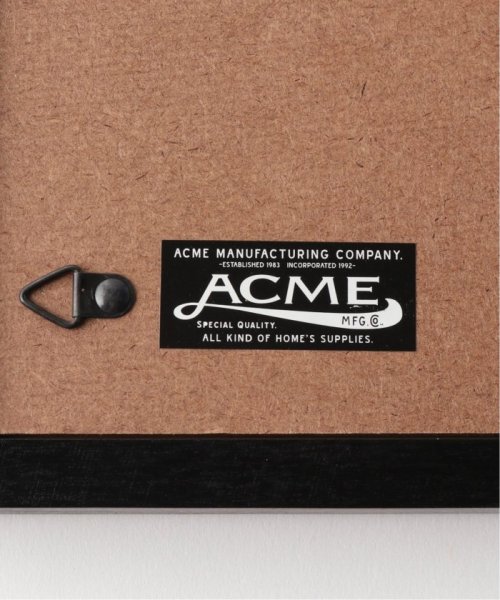 ACME Furniture(アクメファニチャー)/WARNER PHOTO FRAME_A4 ワーナーフォトフレーム A4/img14