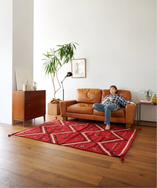 ACME Furniture(アクメファニチャー)/KAYANTA  RUG 120x160　カエンタ ラグ/img10