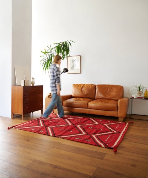 ACME Furniture(アクメファニチャー)/KAYANTA  RUG 120x160　カエンタ ラグ/img12