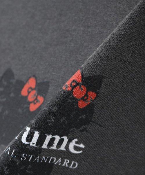 JOURNAL STANDARD relume Men's(ジャーナルスタンダード　レリューム　メンズ)/【SANRIO × relume】HELLO KITTY プリントTシャツ B/img14