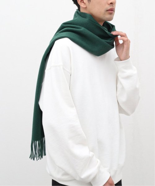 JOINT WORKS(ジョイントワークス)/【CARHARTT WIP / カーハート ダブリューアイピー】 CLAN SCARF/img08