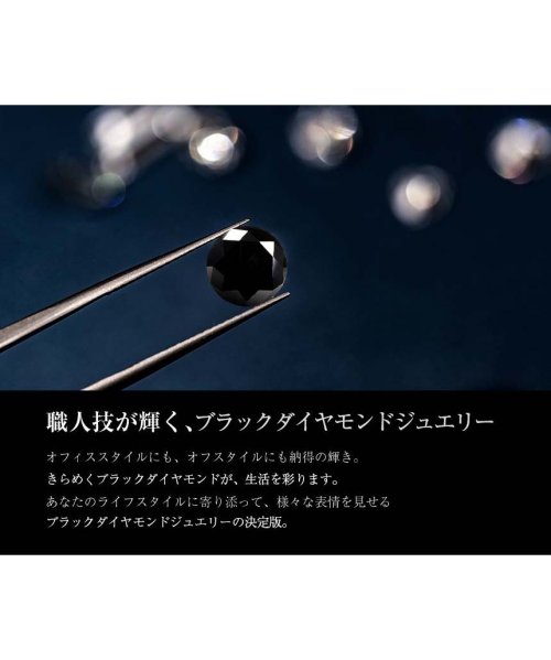 LARA Christie(ララクリスティー)/ララクリスティー ピアス レディース ブラックダイヤモンド 1粒 計3ct プラチナ K18/img05