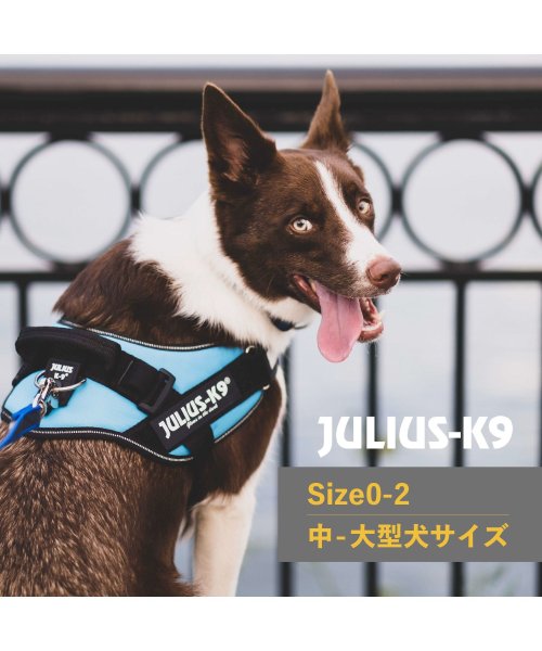 JuliusK9(ユリウスK9)/ユリウスK9 Julius－K9 ハーネス IDCパワーハーネス ベルト 中型犬 大型犬 ユリウスケーナイン 胴輪 歩行補助 [予約 10月上旬 入荷予定]/img17