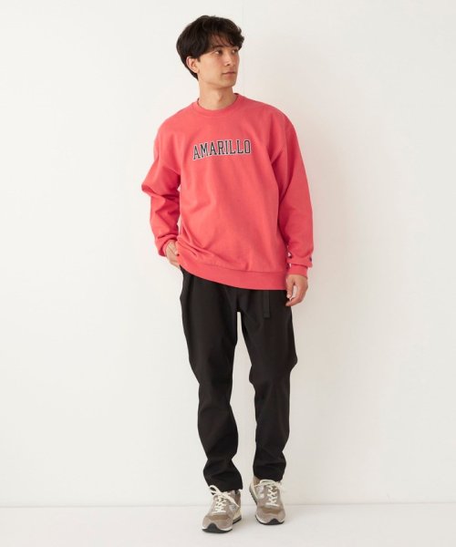 SHIPS Colors  MEN(シップスカラーズ　メン)/【SHIPS Colors別注】Allen A:プリント クルーネック スウェット/img19