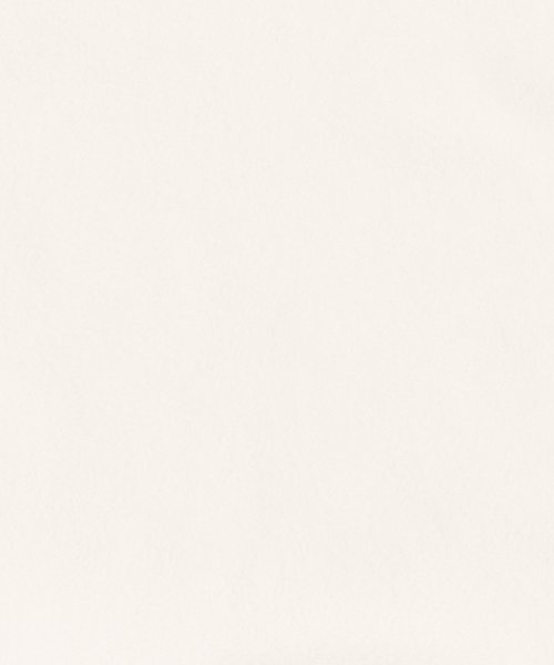 フリースジャケット メンズ レディース アウター ブルゾン スタンドネック オーバーサイズ ビッグシルエット ルーズ ジップアップ ポーラテック クラシック カ 着丈 Upscape 肩幅 身幅 袖丈 メンズ ポーラテック Audience/アップスケープオーディエンス Audience 約74cm